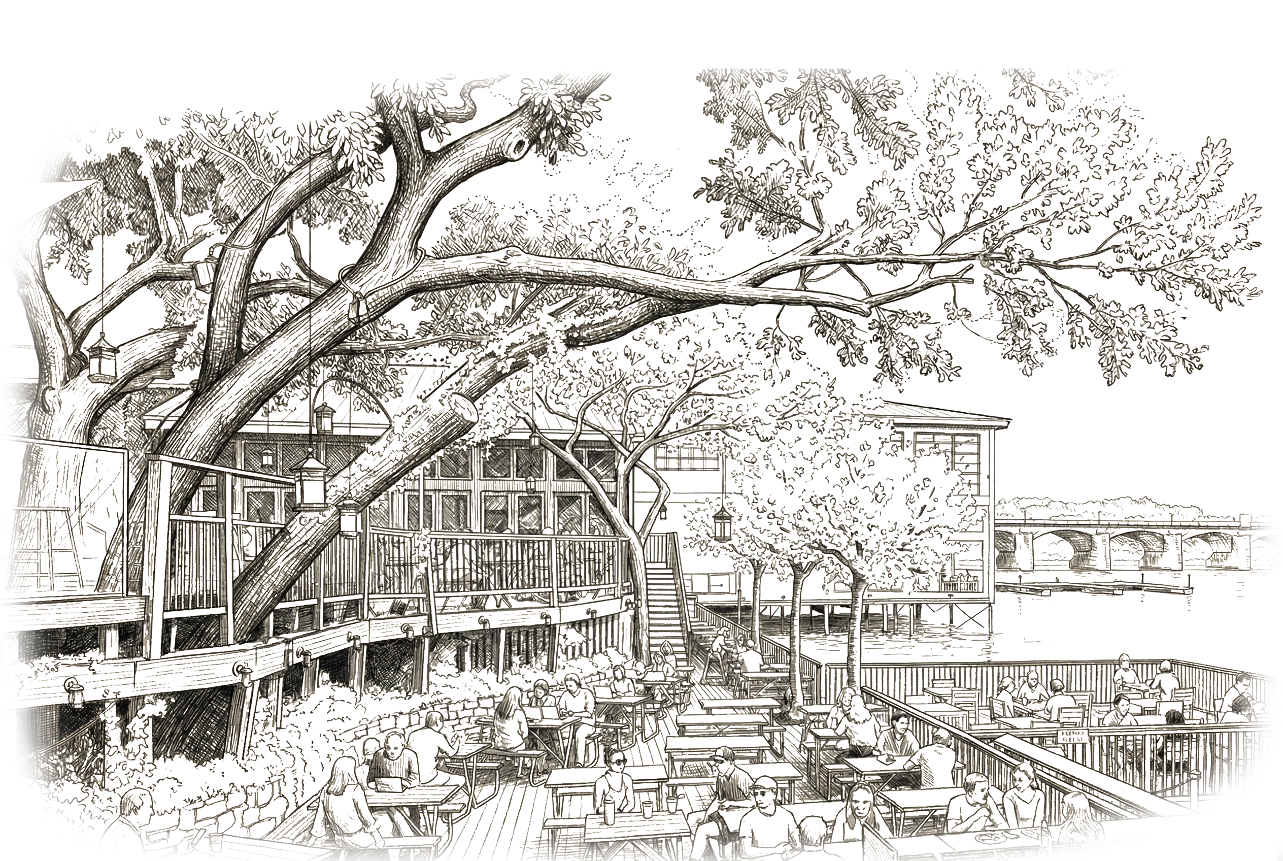 Mozart's Coffee Roasters