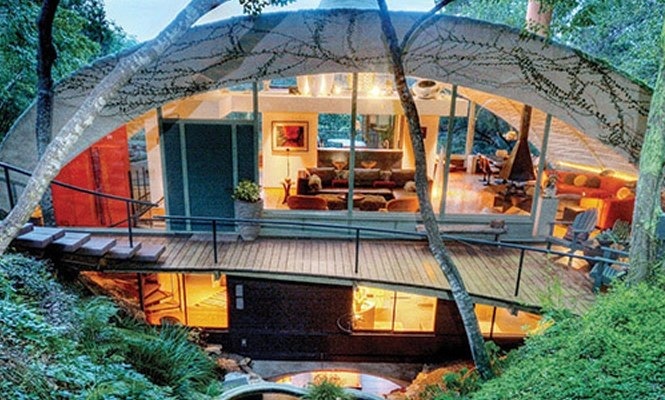 Organic dome house